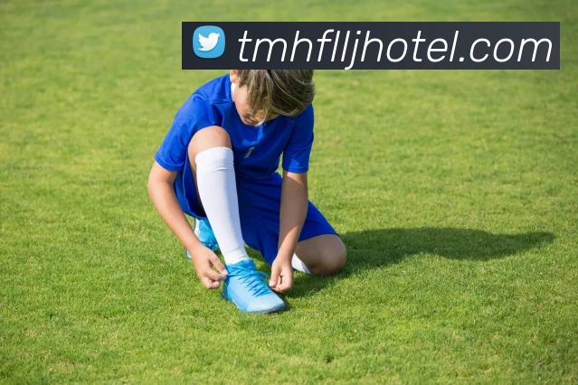 数据分析功能